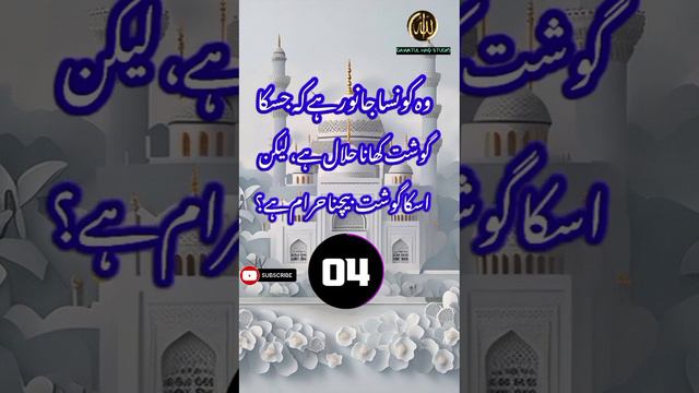 Islamic question and answer | Islamic quiz #short #paheliyan #islamic