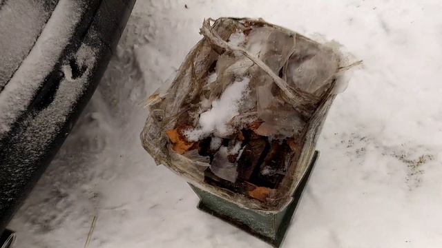 Ловля диких пчел зимой смотреть онлайн