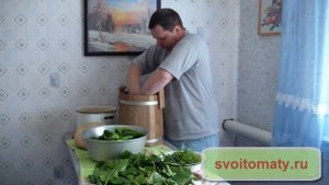 Засолка огурцов в бочке или кадке