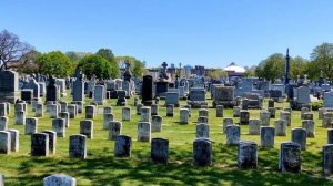 Устраиваемся на работу. Американское кладбище. Цены на жилье.