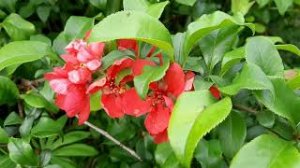 #100 Спонсорство (16.06.2020)