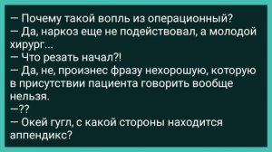 Как к Царю Соломону Пришли Две Тетки! Сборник Свежих Смешных Жизненных Анекдотов!