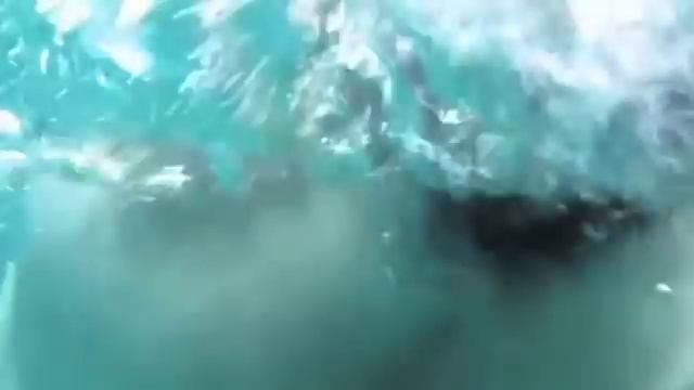 медведь друг человека.flv смотреть онлайн