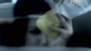 Helios Airways Flight 522 Crash 14 August 2005