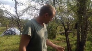 Как легко и быстро удалить дерево с корнем