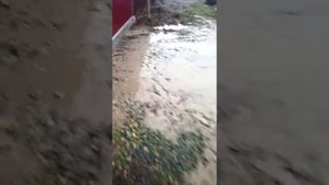 Поселок Советский Тимашевского района
