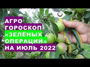 Агрогороскоп "зелёных операций" на растениях сада и огорода в июле 2022 года