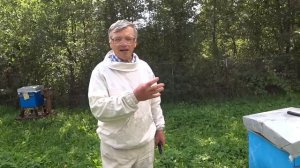 Пчелиный напад на пасеке.  Что делать.  Эффективное приспособление от напада