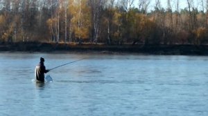 Верховье р.Бии 100км от г.Бийск