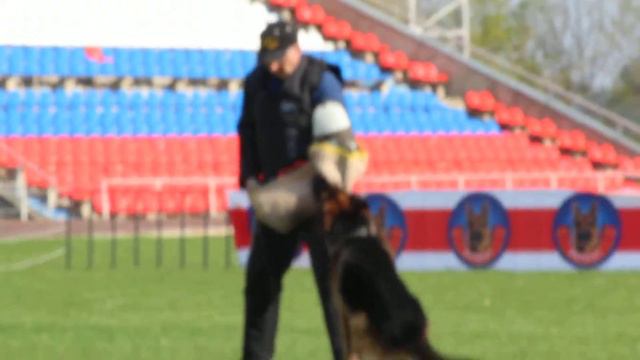 выставка Смоленск 1 2 мая КЧК РСЛНО 78 смотреть онлайн