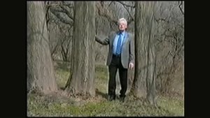 Чумак - Программа (комплекс сеансов)