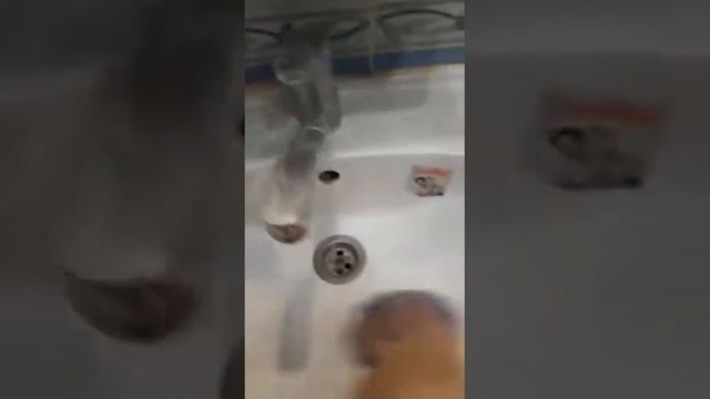 Fiona про GreenWay: #17. Про пасту Mystic ч.2 смотреть онлайн