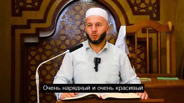 Удивительный случай из жизни Пророка Сулейманамир ему