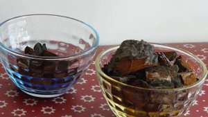 ✅ Сосновая кора для орхидей. Какая лучше и как ее заготовить самостоятельно.