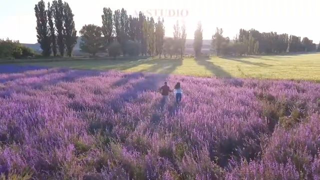 гр Бахтавар Зи гьава