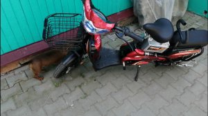 Честный отзыв реального покупателя электрического скутера.