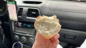 Научили попугая ГОВОРИТЬ