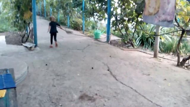 16,09,2017 доця "летает" на метле смотреть онлайн