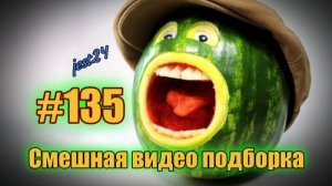 Смешная видео подборка #135