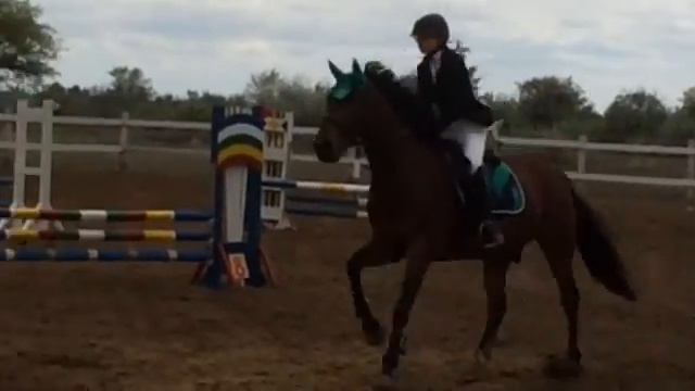 ТРЕЙЛЕР/ ИСТОРИЯ КОННОГО СПОРТА/ Lizka.NET смотреть онлайн