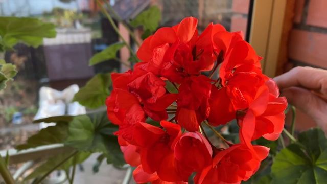 В Москве локдаун / пустая Москва / еду на дачу смотреть онлайн