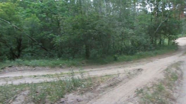 В поисках заброшенного лесничество.