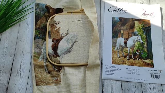 Гобелен от Luca-s/ Риолис/ вышивка на пластике/ рукодельная неделя/ вышивка крестом смотреть онлайн