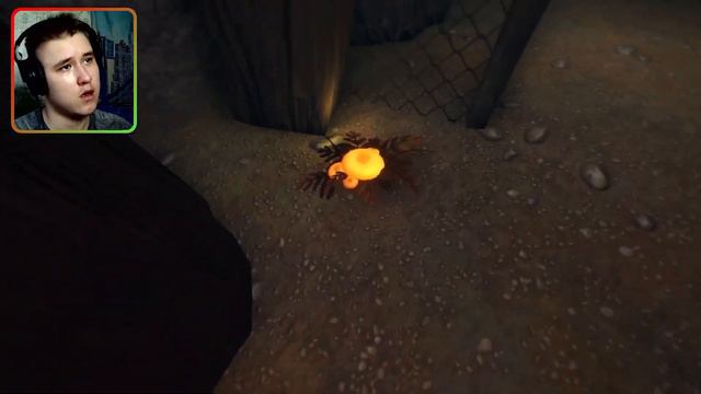 МЫ ВЕРНЁМСЯ К МАМЕ ?  ⇶  Among the sleep №2