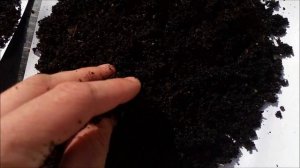 Разведение червей. Сравнение вермикомпоста (биогумуса)