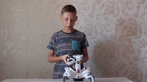Робот краб WowWee Roboquad W8039 / WowWee Robotics Roboquad