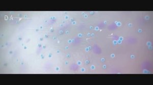 Нутрилайт Глюкозамин  Nutrilite TM Glucosamine 2