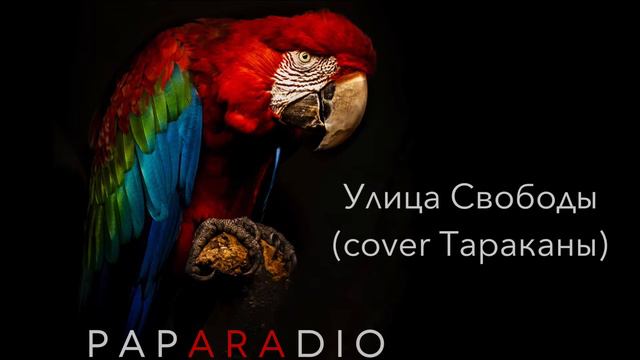 ПАПАРАДИО - Улица Свободы (cover Тараканы)