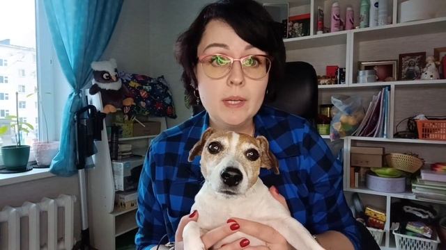 Проблемы дошкольного возраста .Мой ребёнок не умеет читать.Что делать? смотреть онлайн