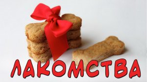 Какие лакомства для собаки лучше выбрать или чем мы поощряем Тоя