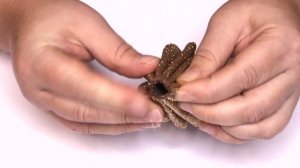 Ангел из фоамирана на Новогоднюю Елку ? НОВОГОДНИЕ ИГРУШКИ Своими Руками ? DIY Christmas Angel