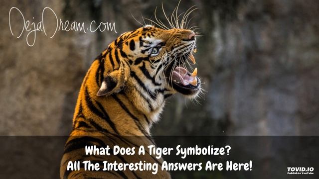 What Does A Tiger Symbolize? All The Interesting Answers Are Here! смотреть онлайн