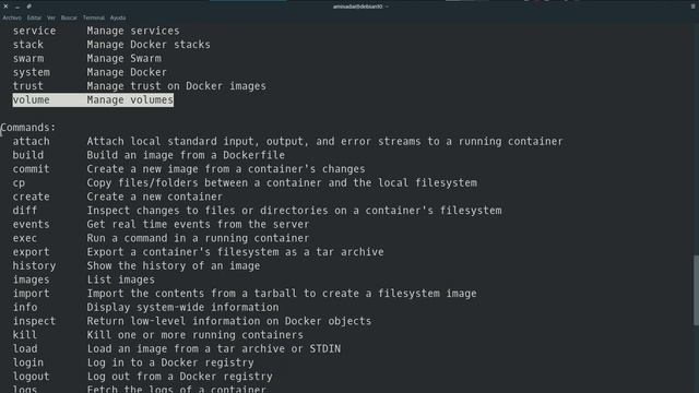 3 - Comando Docker y su ayuda смотреть онлайн