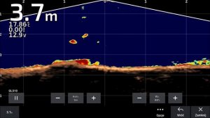Garmin LiveScope Panoptix cz.10 Odra sandacz 96 cm branie wyjścia sumów i szczupaka #GarminLivescop