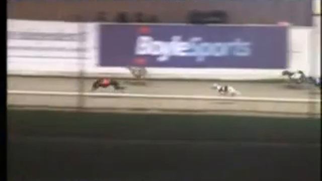 IGB - The Deal Of The Month A4  15/10/2019 Race 5 - Shelbourne Park смотреть онлайн