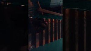 Бомж в подъезде засрал все.