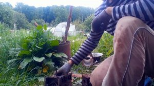 Дербан цветнины