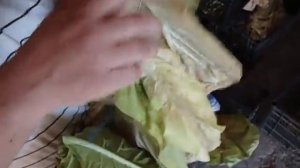 томление и сушка табака.простые способы!