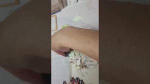 скрапбукинг. открытка своими руками