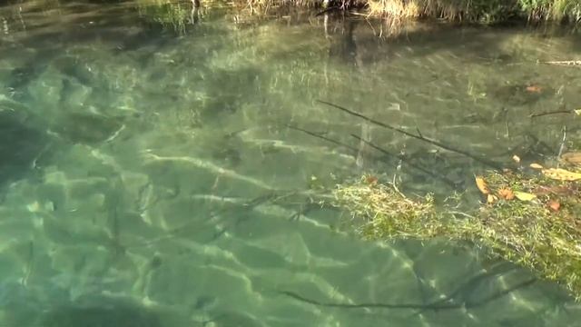 Суринь смотреть онлайн