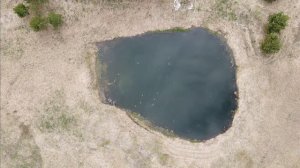 Река Кубань (Костромская область)