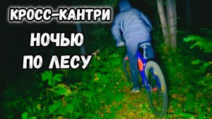 Кросс-кантри по лесу в Темноте.