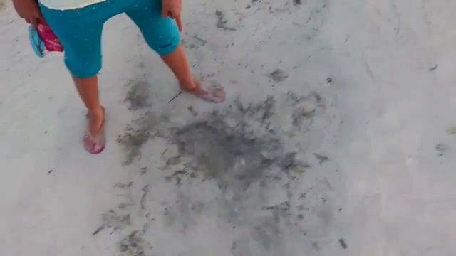 Жизнь на Филиппинах - Морской еж, огурец и родники-ловушки на пляже смотреть онлайн