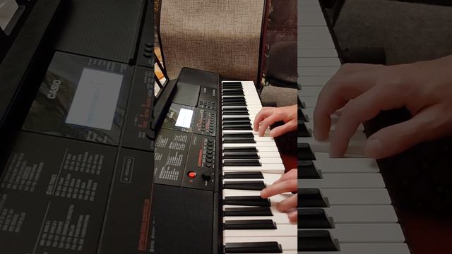 Фрагменти гри на синтезаторі Casio СТ Х-700 та на акордеоні смотреть онлайн