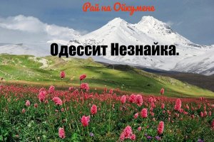 Одессит Незнайка..