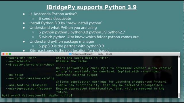 Import packages on Python 3.9 on Mac for algorithmic trading backtest IB TD  Ameritrade Robinhood